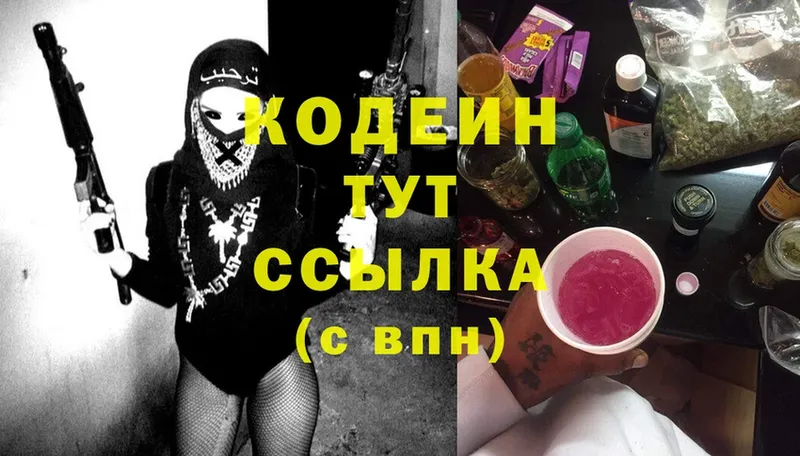 что такое   Тара  Codein Purple Drank 