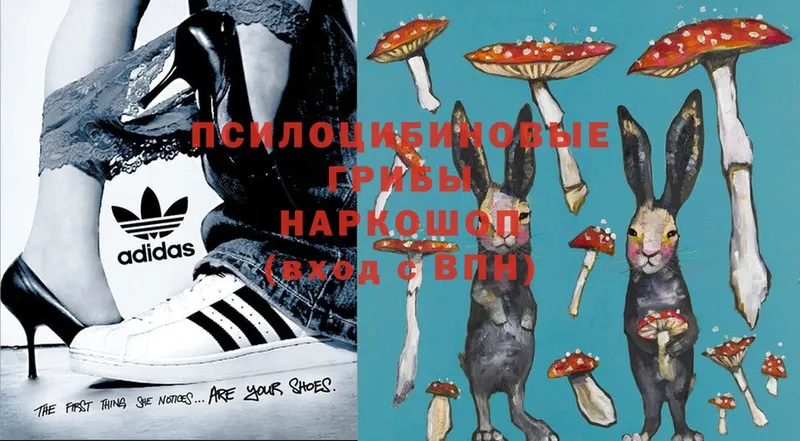 Псилоцибиновые грибы Magic Shrooms  Тара 